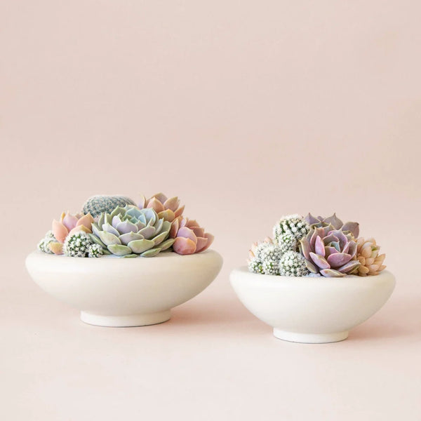 Ceramic Birdie Bowl, Vintage White, 8.25 in.