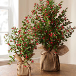 Red Berry Tree in Burlap Bag, 16 in. 2