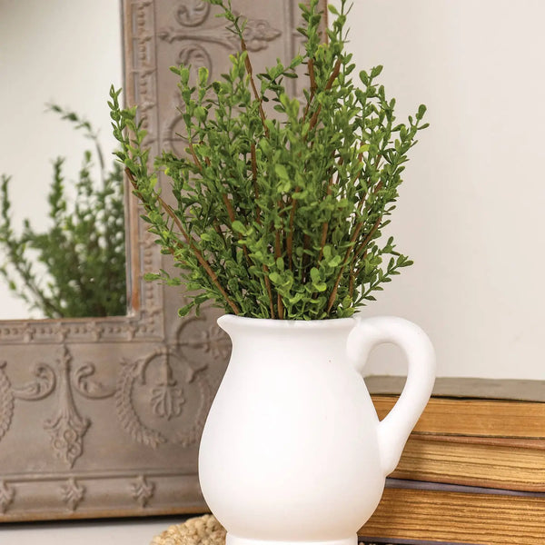 Baby Boxwood Bush, 16 in.