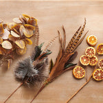 Pheasant Feather Pick, 25 in. 2