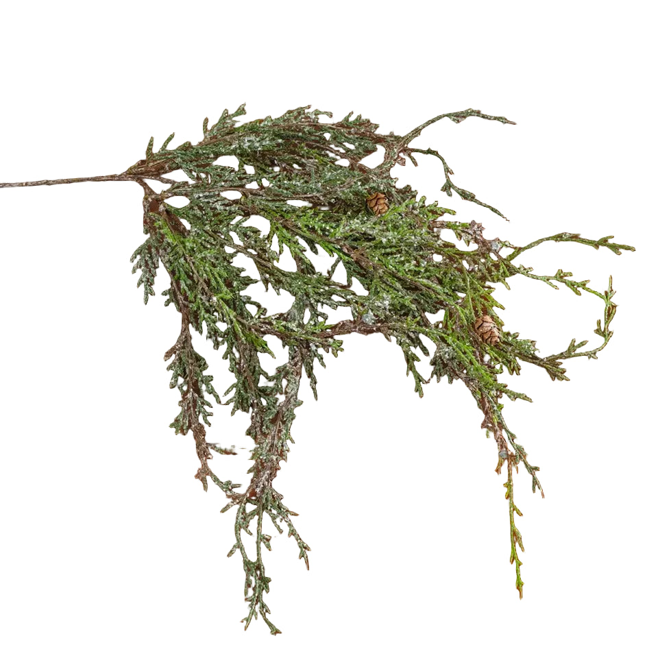 Weeping Cedar Pick with Snow, 17 in.