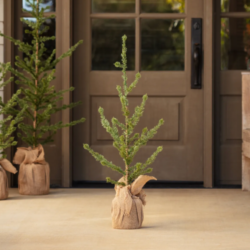 Alpine Tree, Small, 36 in.