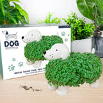Chia Pet Planter, Dog 2