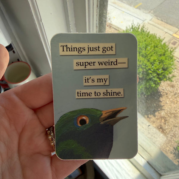 Funny Vinyl Sticker, Weird featuring a colorful bird illustration with the phrase "Things just got super weird—it's my time to shine," held by a hand near a window in natural light, perfect for quirky decor and gifts.