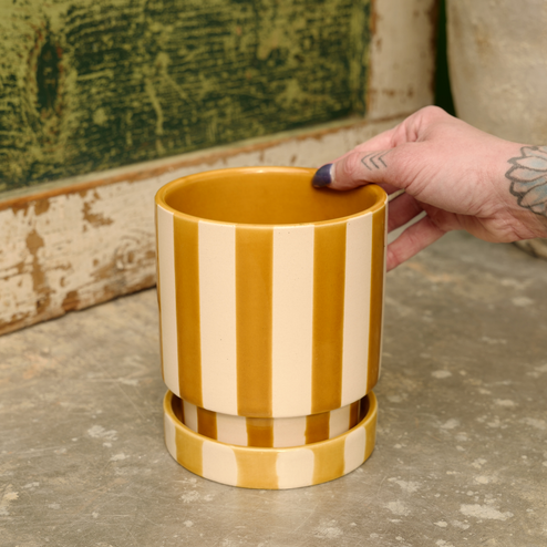 Saffron Pot with Saucer, 5 X 5.75 in.