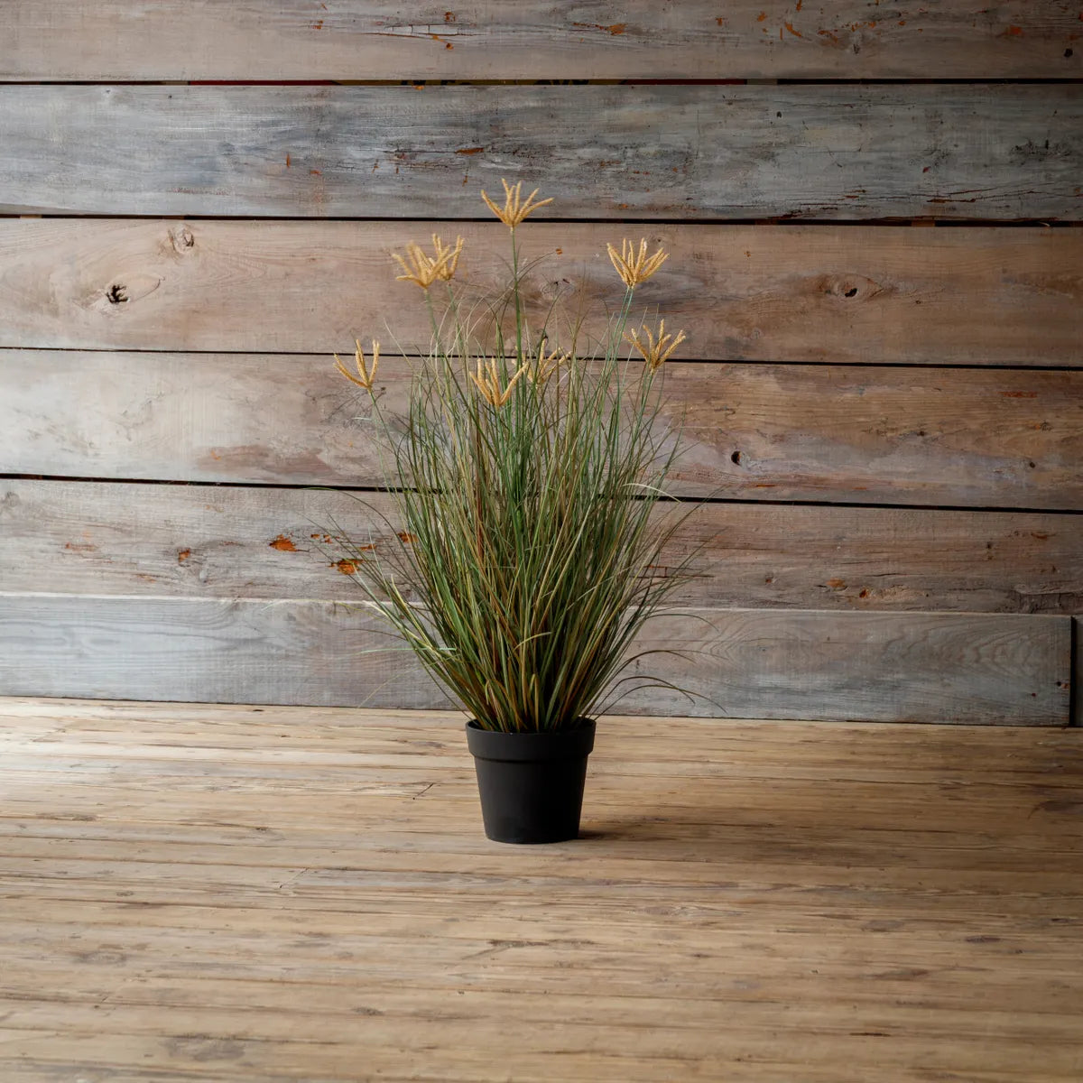 Potted Pasture Grass, 39.375 X 27.5 X 39.375 in.