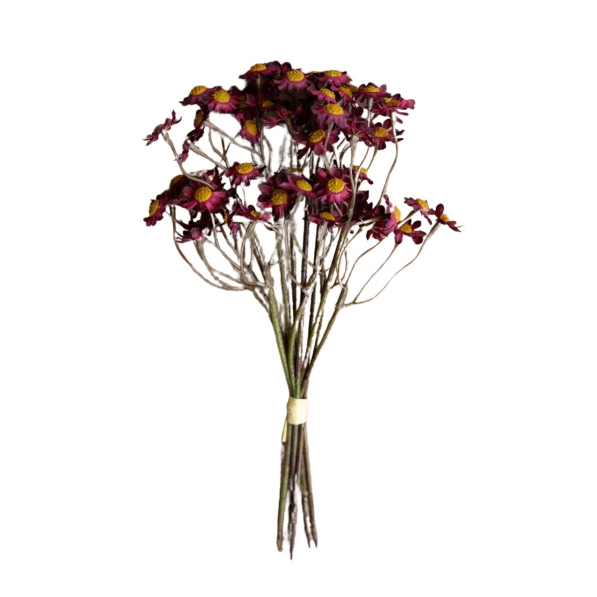 Chamomile Bundle, Burgandy, 10in.