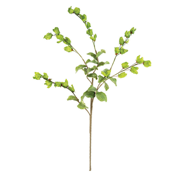 Botanica #3187