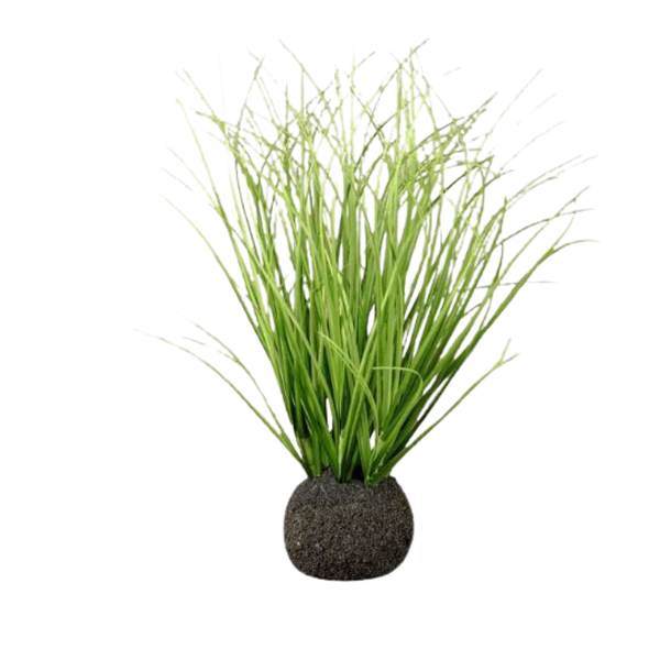 Wild Onion Grass Bulb, 10 in.