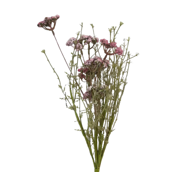 Wildflower Spray, 24 in., Thulian