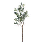 Olive Branch Stem, 32 in. 1