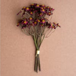 Chamomile Bundle, 6 Stems Burgandy 10