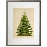 Norway Spruce Artwork, 16 X 20 in. 1