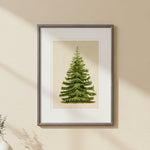 Norway Spruce Artwork, 16 X 20 in. 2