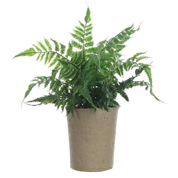 Faux Fern in Paper Pot, 14" with lush green leaves in a simple natural paper pot, perfect for adding decor and fresh style to any room from Knotty and Board. Every Room Needs A Little Knotty and Board.