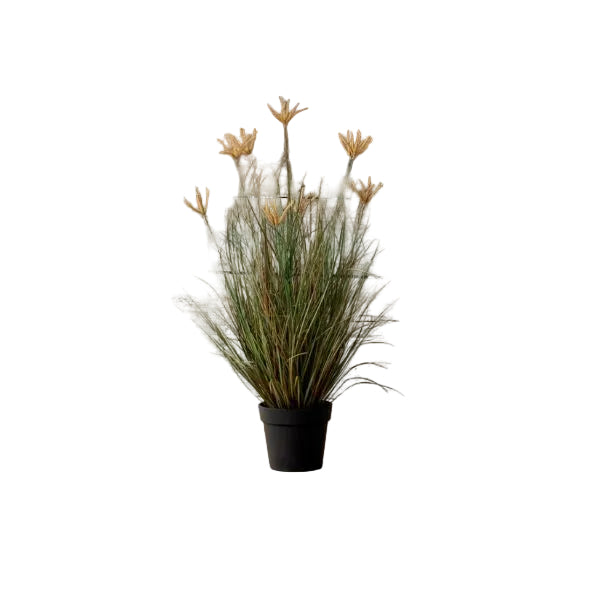 Potted Pasture Grass, 39.375 X 27.5 X 39.375 in.