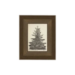 Vintage Pine Tree Framed Antique Art, 5 X 7 in. 1