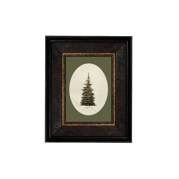 Oval Matte Tree Framed Antique Art, 7 X 9 in.