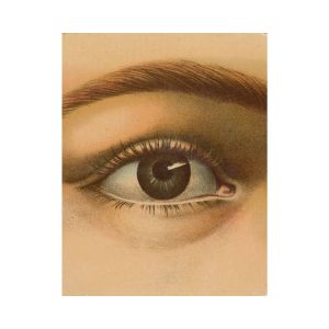 Close-up illustration of a detailed eye from the John Derian Picture Book, featured as unique decor available at Knotty and Board, perfect for gifting or personal collection.