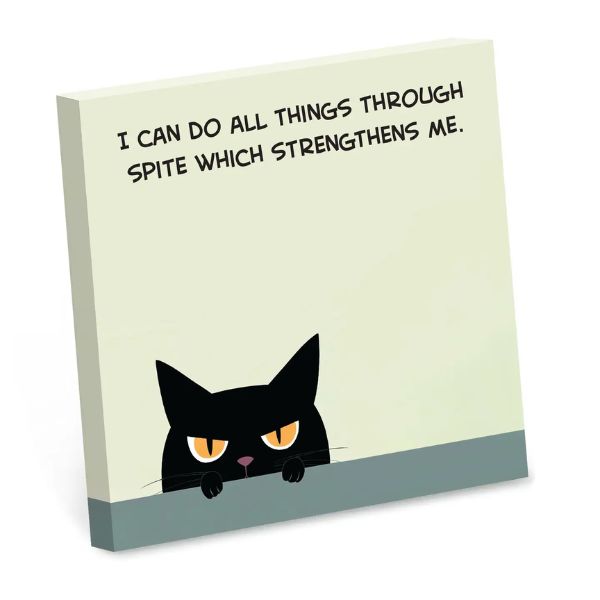 Sticky Note Pad, I Can Do All Things Through Spite