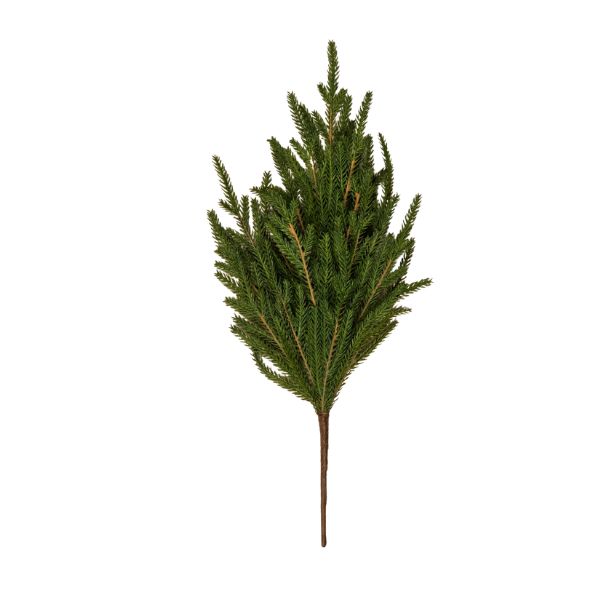 Soft Touch Norfolk Pine Pick, 18 in.
