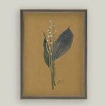 Lily On Brown Framed Antique Art, 11 X 15 in. 2
