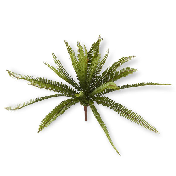 Fern Bush with lush green fronds spreading outward, perfect for adding natural decor accents to any room, available from Knotty and Board, Every Room Needs A Little Knotty and Board.