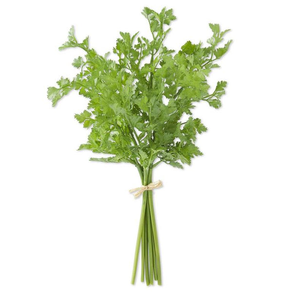 Fresh green Parsley Bundle 18" tied with natural twine, perfect for kitchen decor or gifts. Every room needs a little Knotty and Board charm.