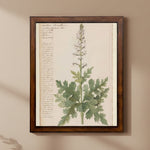 Vintage Flower K Artwork, 16 X 24 in. 2
