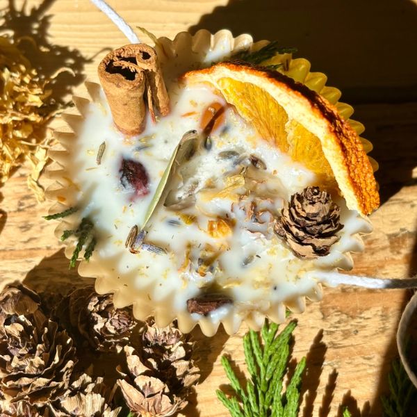Natural Fire Starter, Fire Side with dried orange slice, cinnamon stick, pine cone, and herbs in wax, surrounded by pine cones and greenery for cozy home decor and gifts.