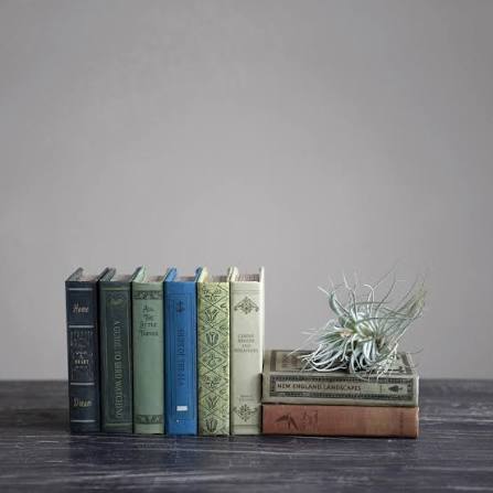 Book Storage Boxes with Garden Studies Prints, Assorted, Set of 2