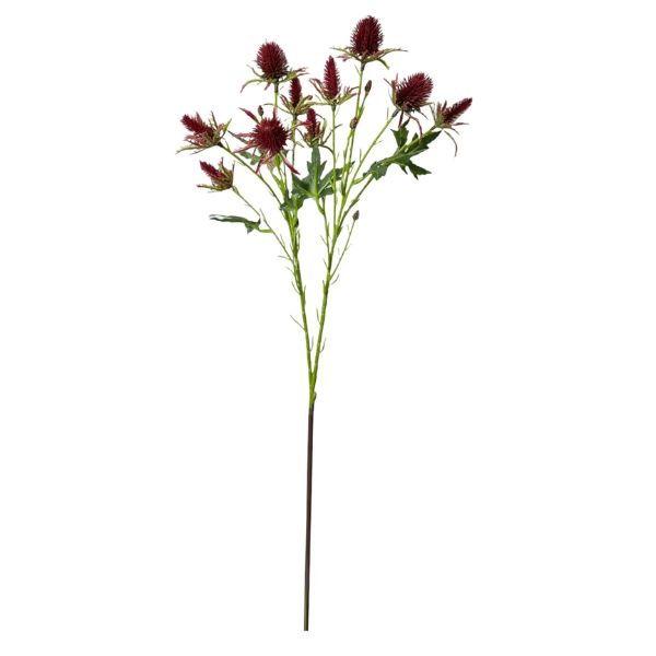 Thistle Eryngium Sea Holly Bundle, Wine Burgandy, 26 in. featuring deep red blooms and green foliage, perfect for adding elegant decor and gift appeal from Knotty and Board.