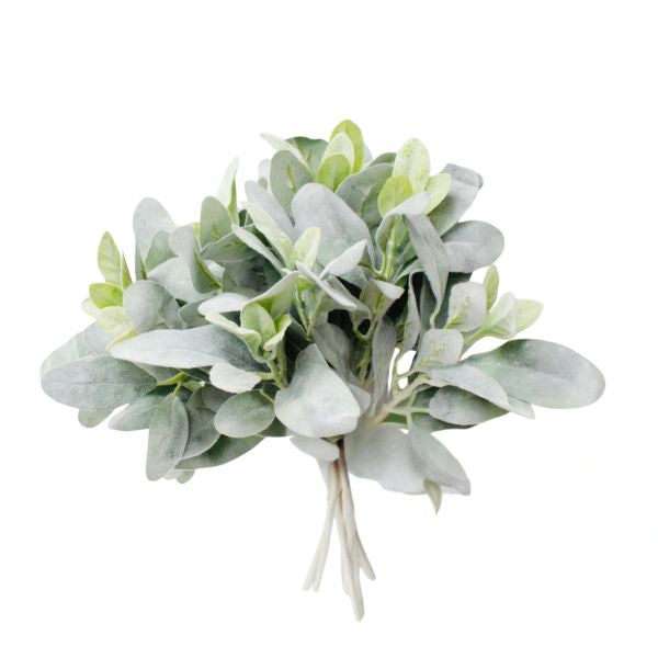 Flocked Lamb's Ear Bundle, 14 in. featuring soft, silvery-green leaves perfect for adding natural decor accents to any room, from Knotty and Board’s curated gift collection.
