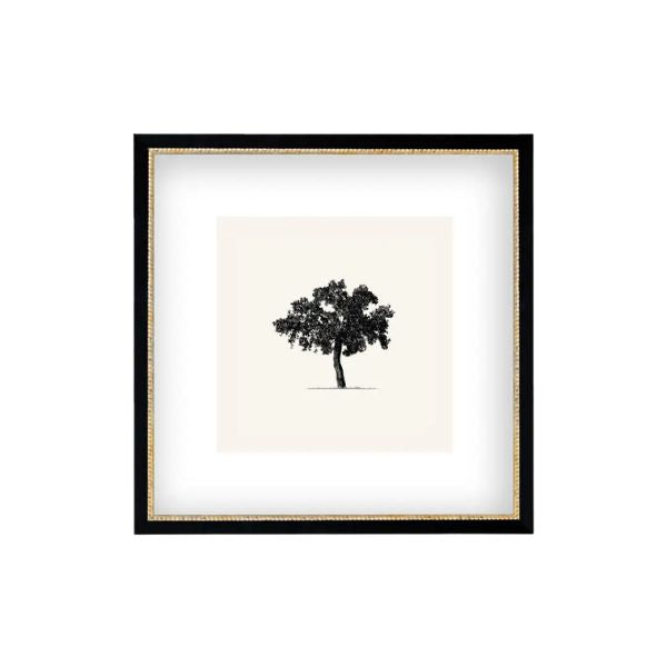 Tree Framed Antique Art, 15 X 15 in.