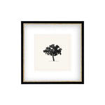Tree Framed Antique Art, 15 X 15 in. 1