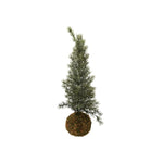 Faux Fir Tree with Moss Ball Base, Frosted, 15.75 in. 1