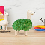 Chia Pet Planter, Llama 2