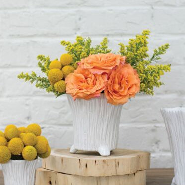 Mellie Footed Pot, 5.25 X 5 in.
