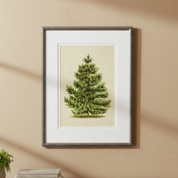 Scotch Pine Artwork, 8 X 10 in.