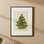 Scotch Pine Artwork, 8 X 10 in. 2
