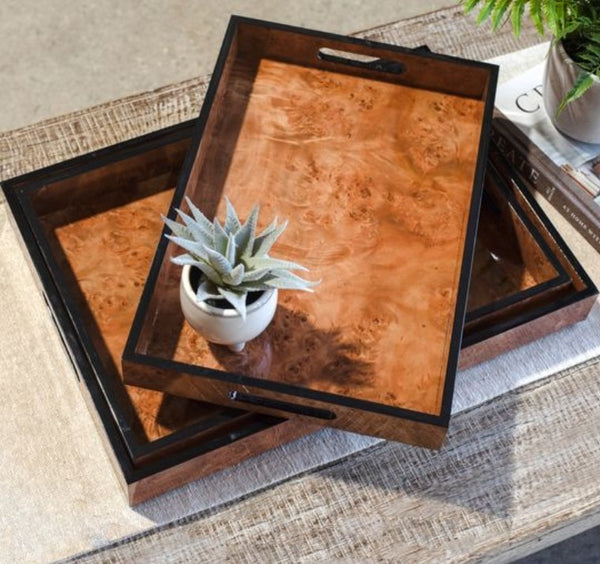 Burl Wood Grain Tray Small with rich natural wood grain and black edges, styled with a small succulent, perfect for kitchen or dining decor from Knotty and Board. Every Room Needs A Little Knotty and Board.