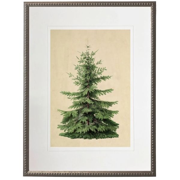 Norman Fir Artwork, 12 X 16 in.