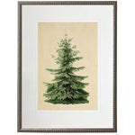 Norman Fir Artwork, 12 X 16 in. 1