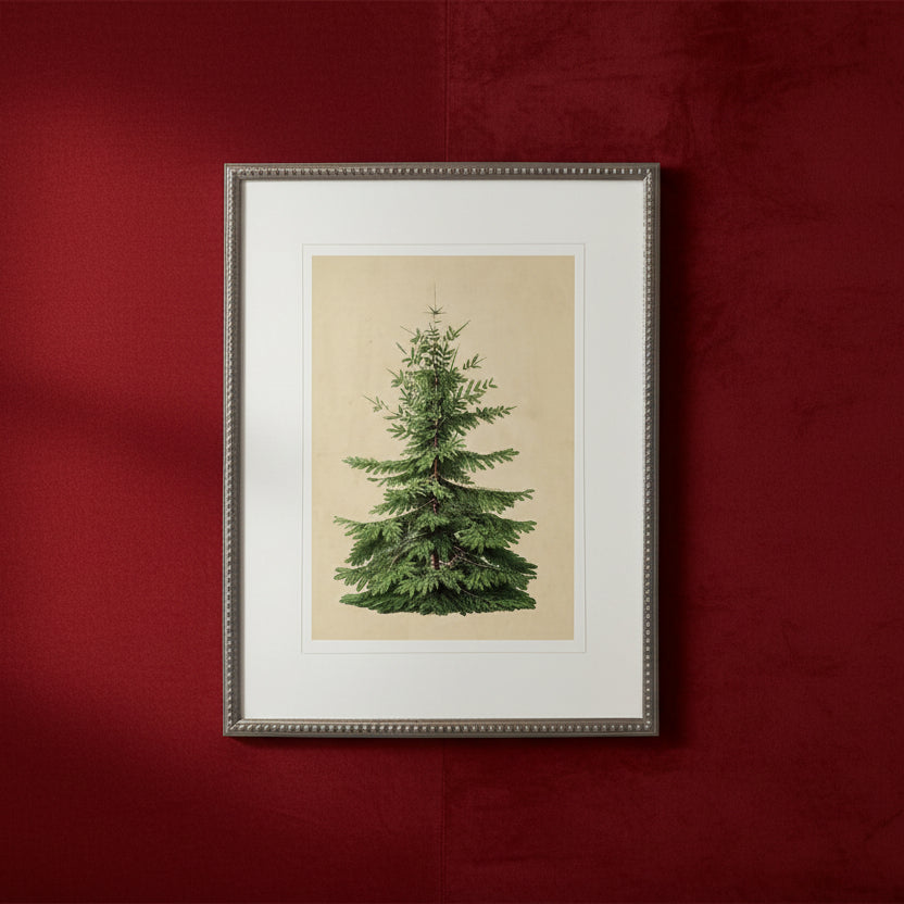 Norman Fir Artwork, 12 X 16 in.