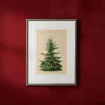 Norman Fir Artwork, 12 X 16 in. 2
