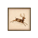 Spotted Deer Wall Art, 15 X 15 in. 1