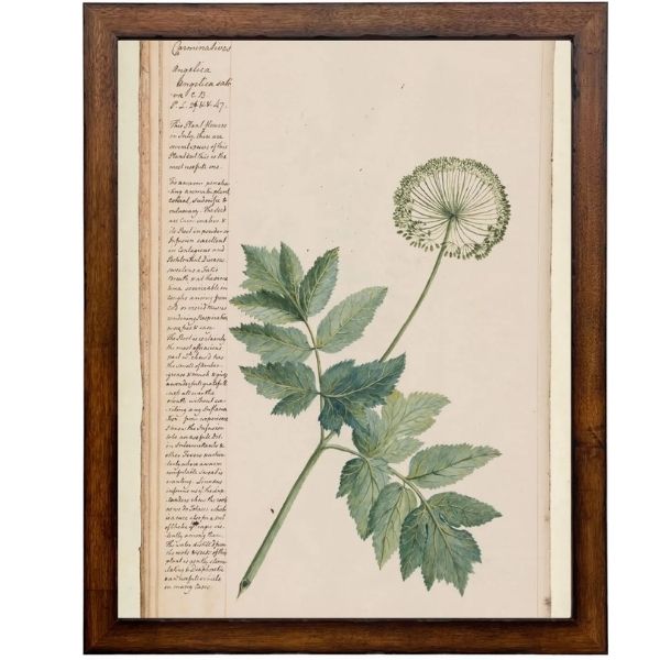Vintage Flower D Artwork, 16 X 24 in.