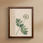 Vintage Flower D Artwork, 16 X 24 in. 2