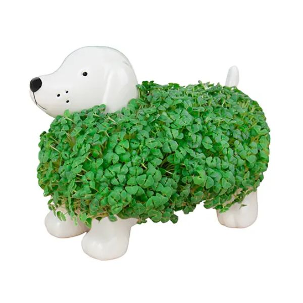 Chia Pet Planter, Dog