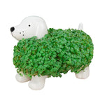 Chia Pet Planter, Dog 1